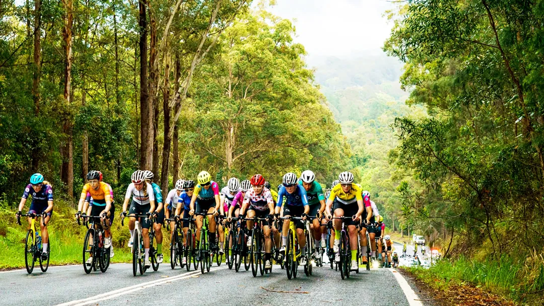 Sunshine Coast A Delivery Partner In The Brisbane 2032 Olympic And sunshine-coast-a-delivery-partner-in-the-brisbane-2032-olympic-and
