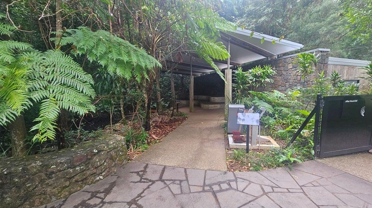 Mary Cairncross Scenic Reserve rainforest walk - showing the pathways and some shelter with greenery of trees and shrubs