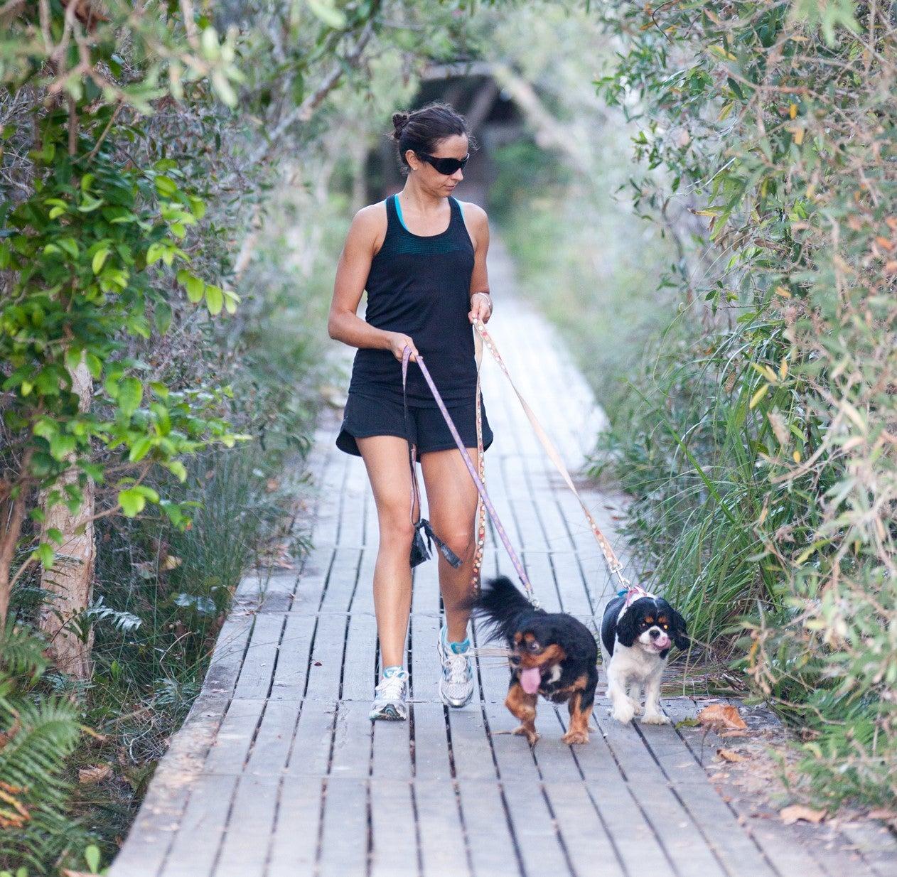 Lady walking with two dogs on boardwalk