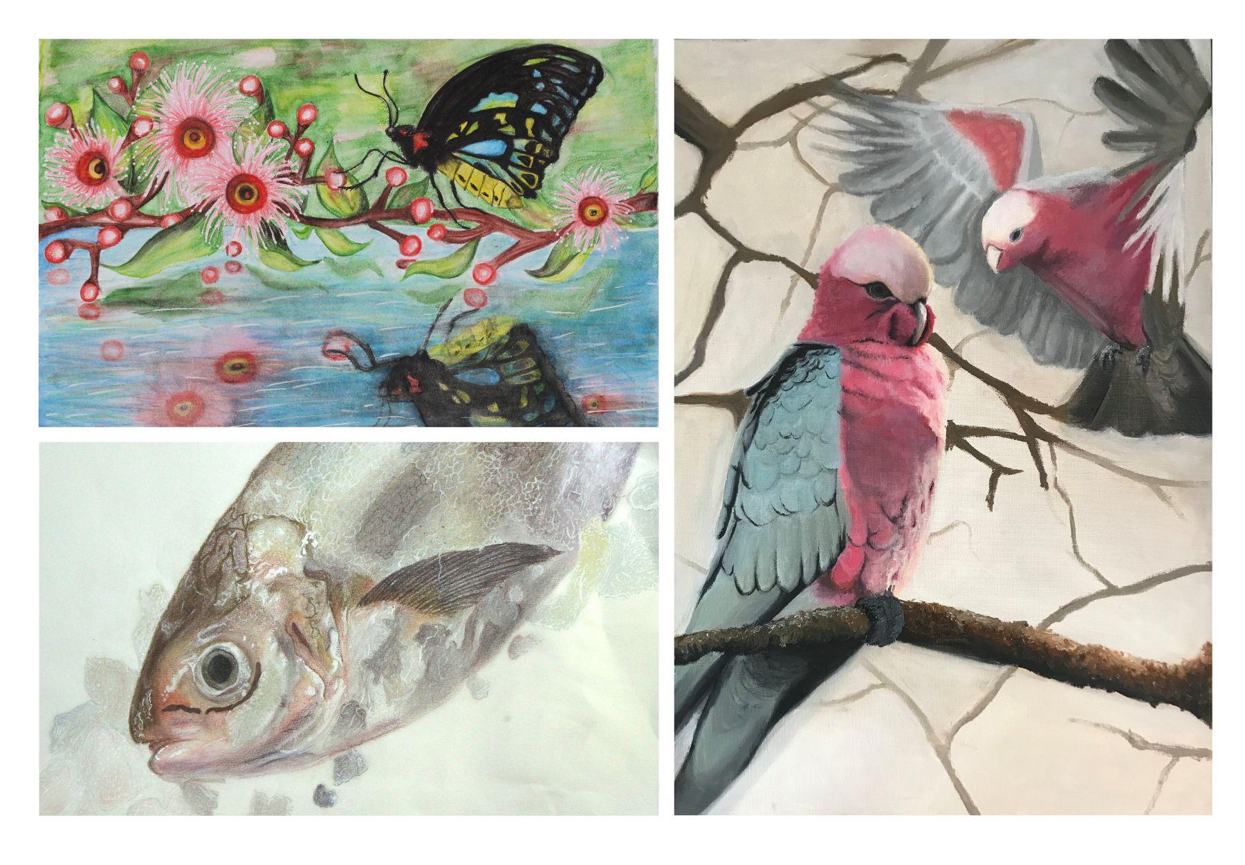 2025 Wild HeART U18 Finalists 2