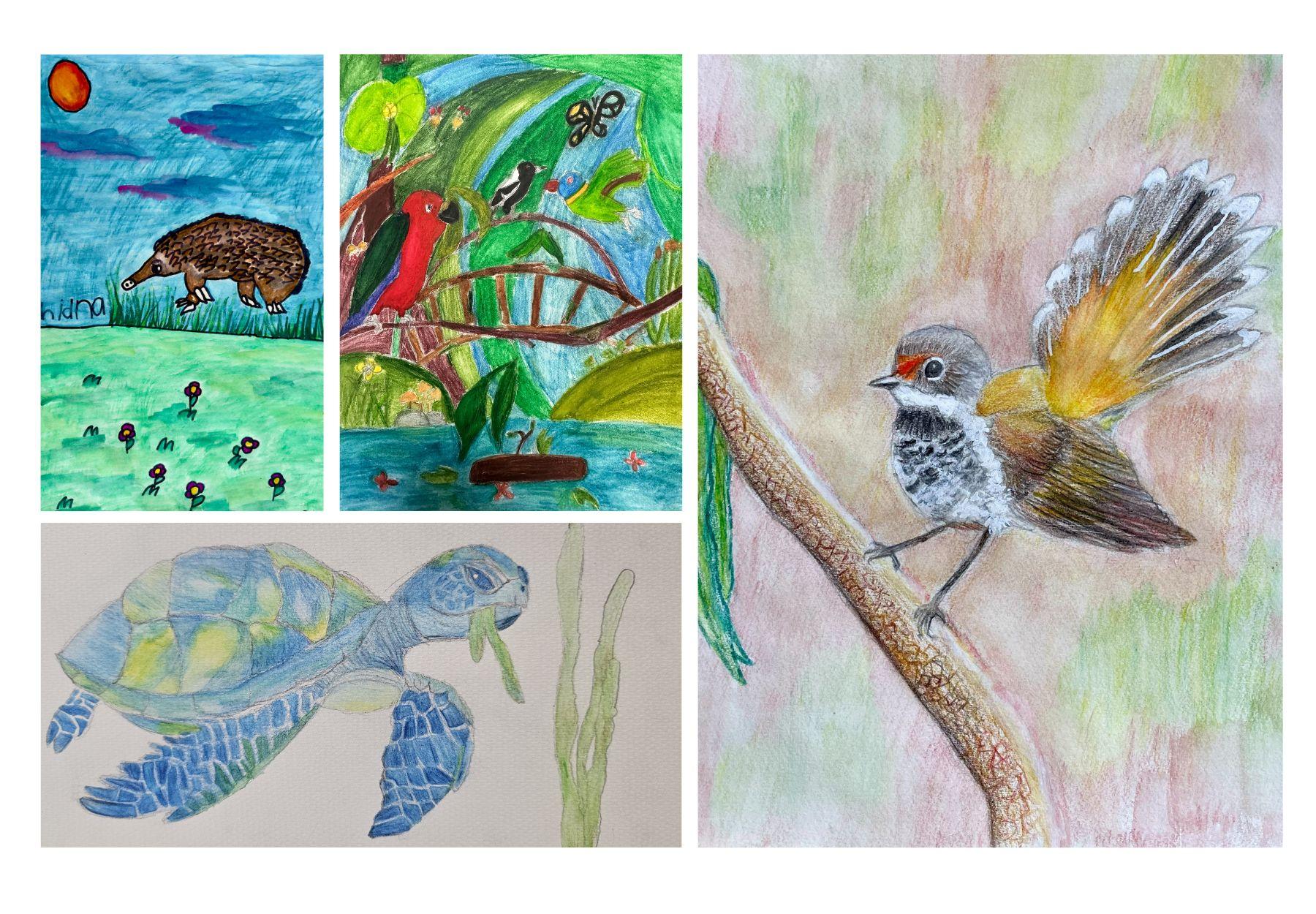 Children's art illustrations of native animals