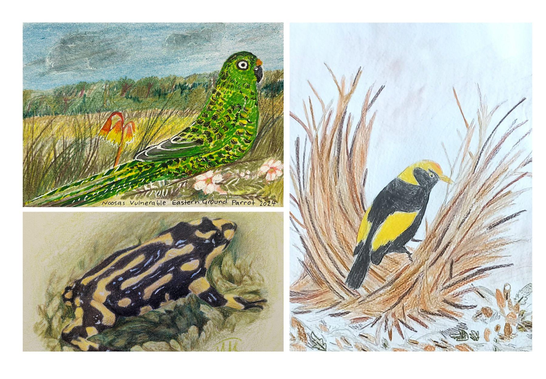 Children's art illustrations of native animals