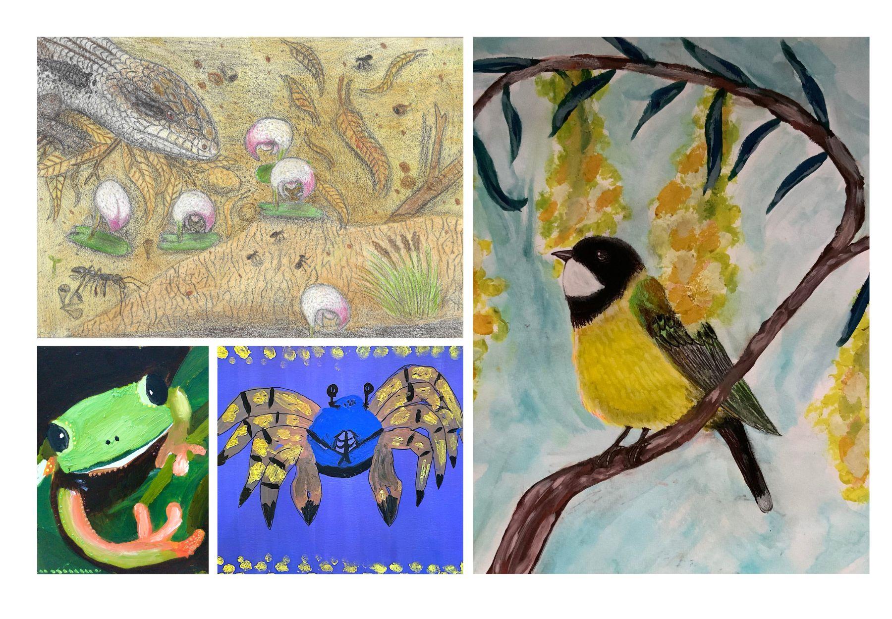 Children's art illustrations of native animals