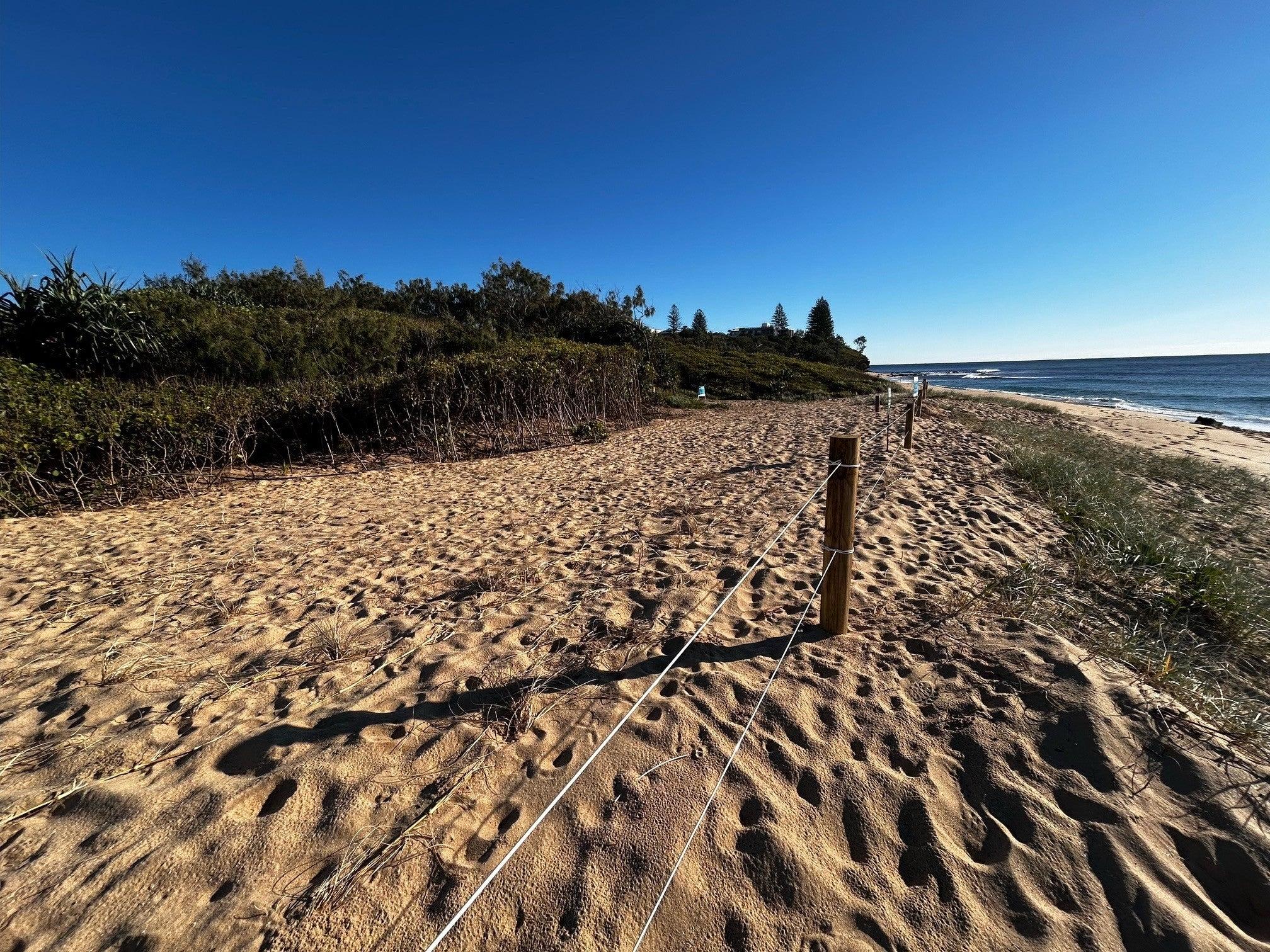 The existing temporary beach fencing was extended at the front of the pilot study area to help protect the dunes.