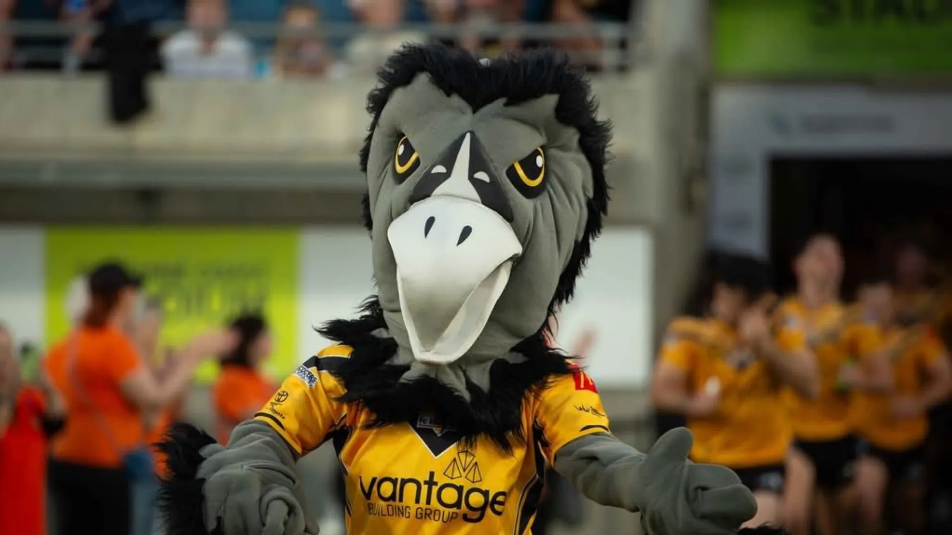 An image about Falcons Juniors vs Devils and Bulls