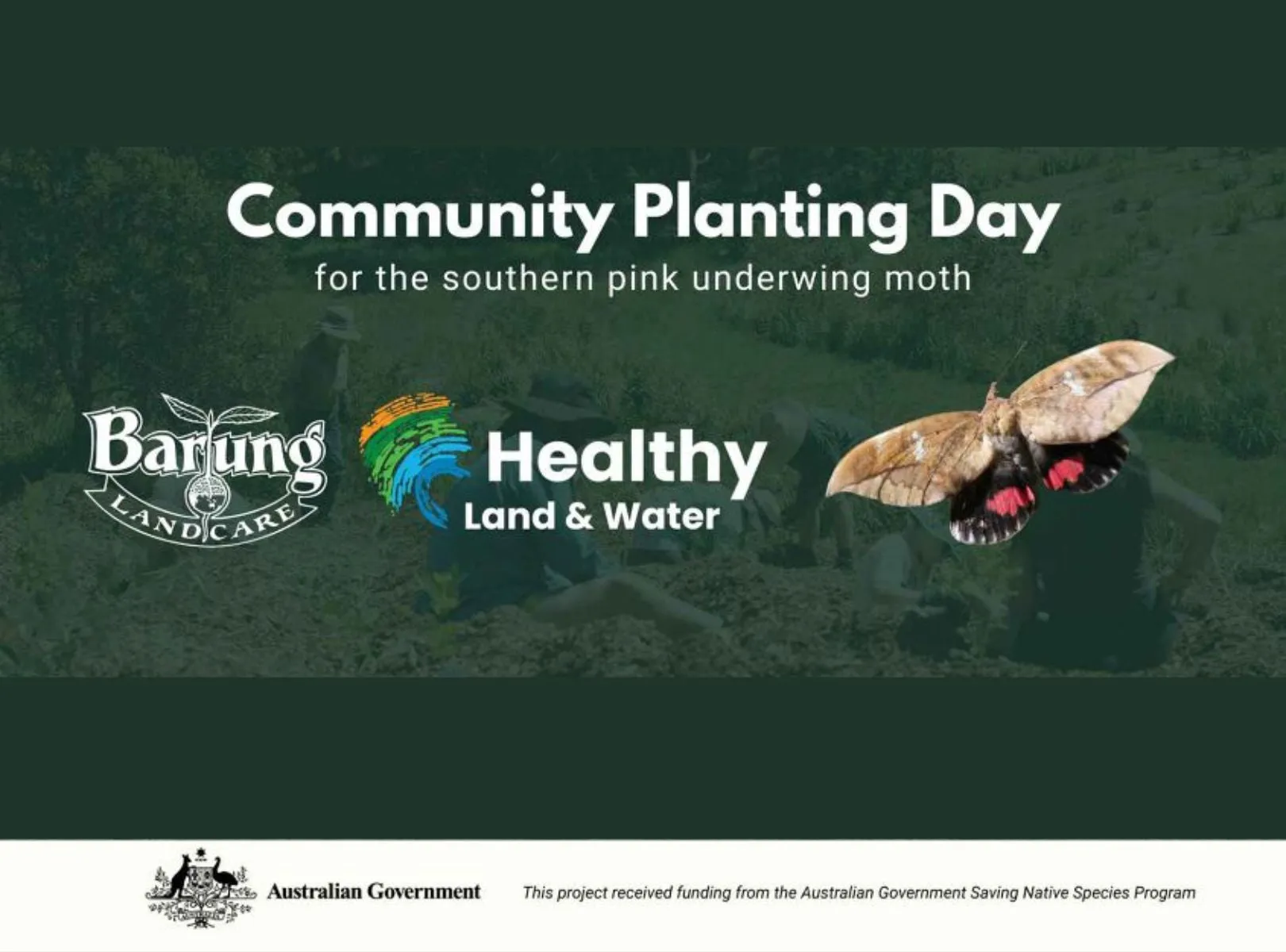 community planting day title promotion