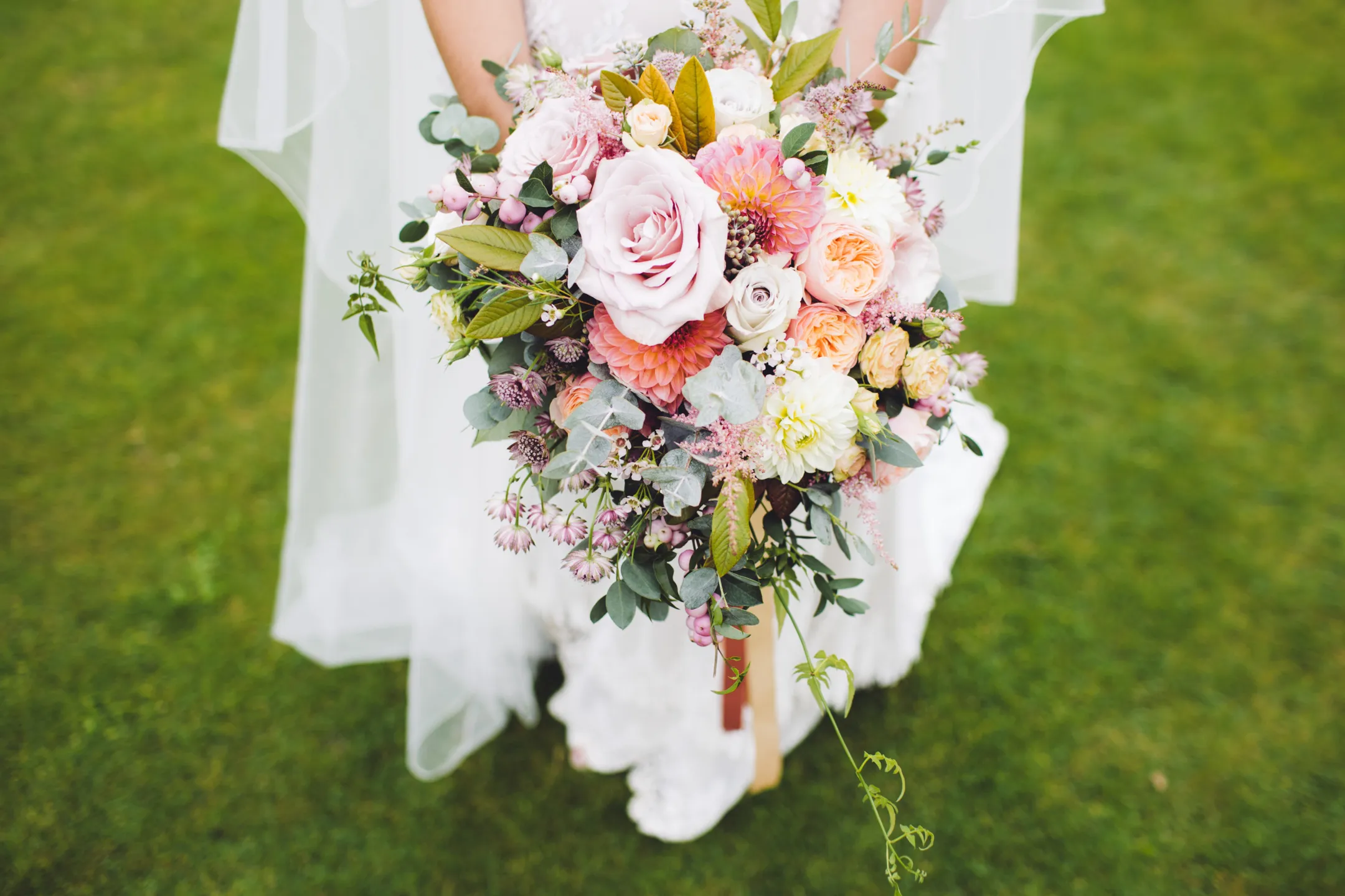 An image about Sunshine Coast Wedding Showcase