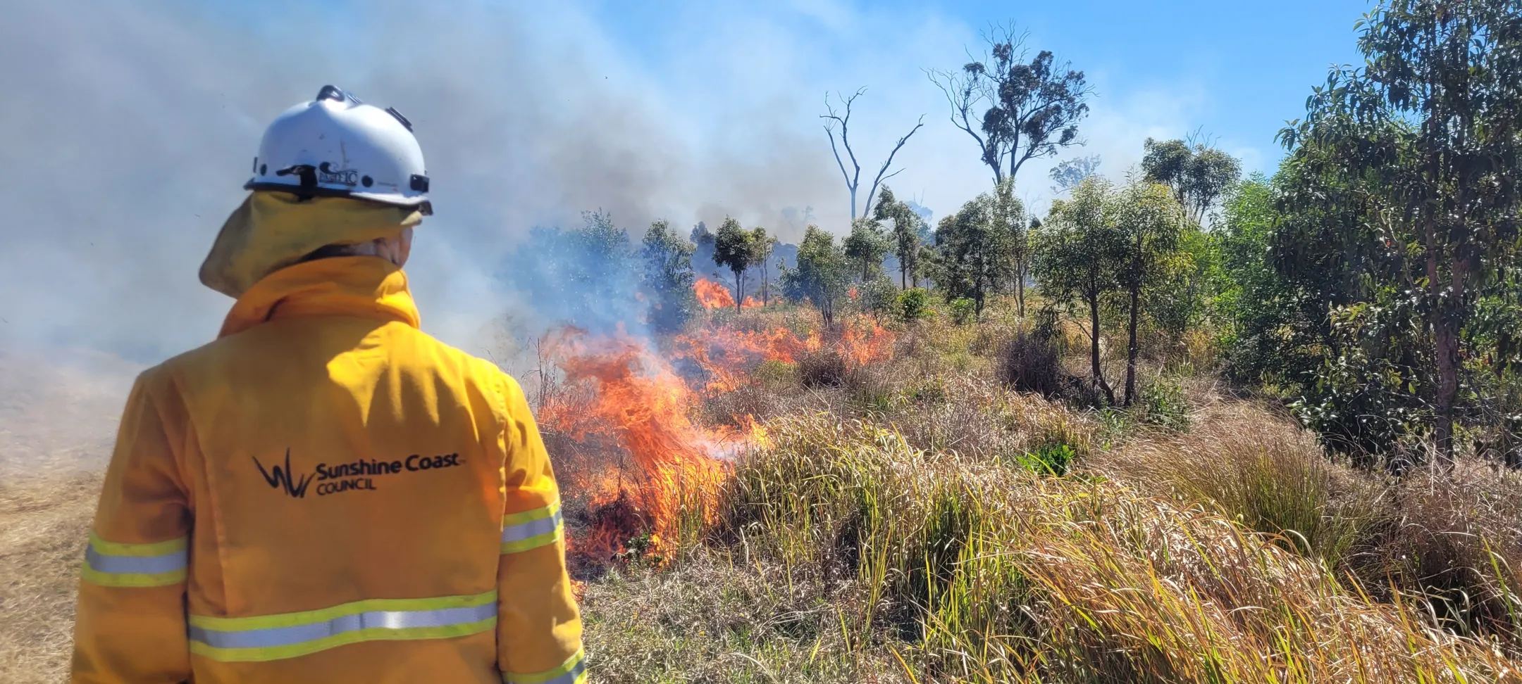 A Sunshine Coast Council fire fighter stands facing flames in bush.