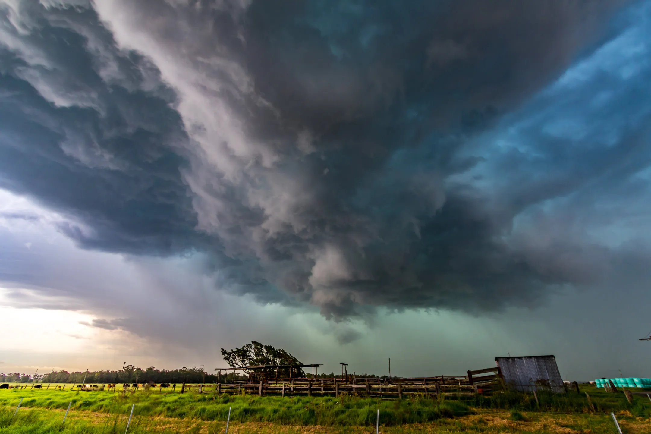 An image about Disaster Hub helps Coast stay safe