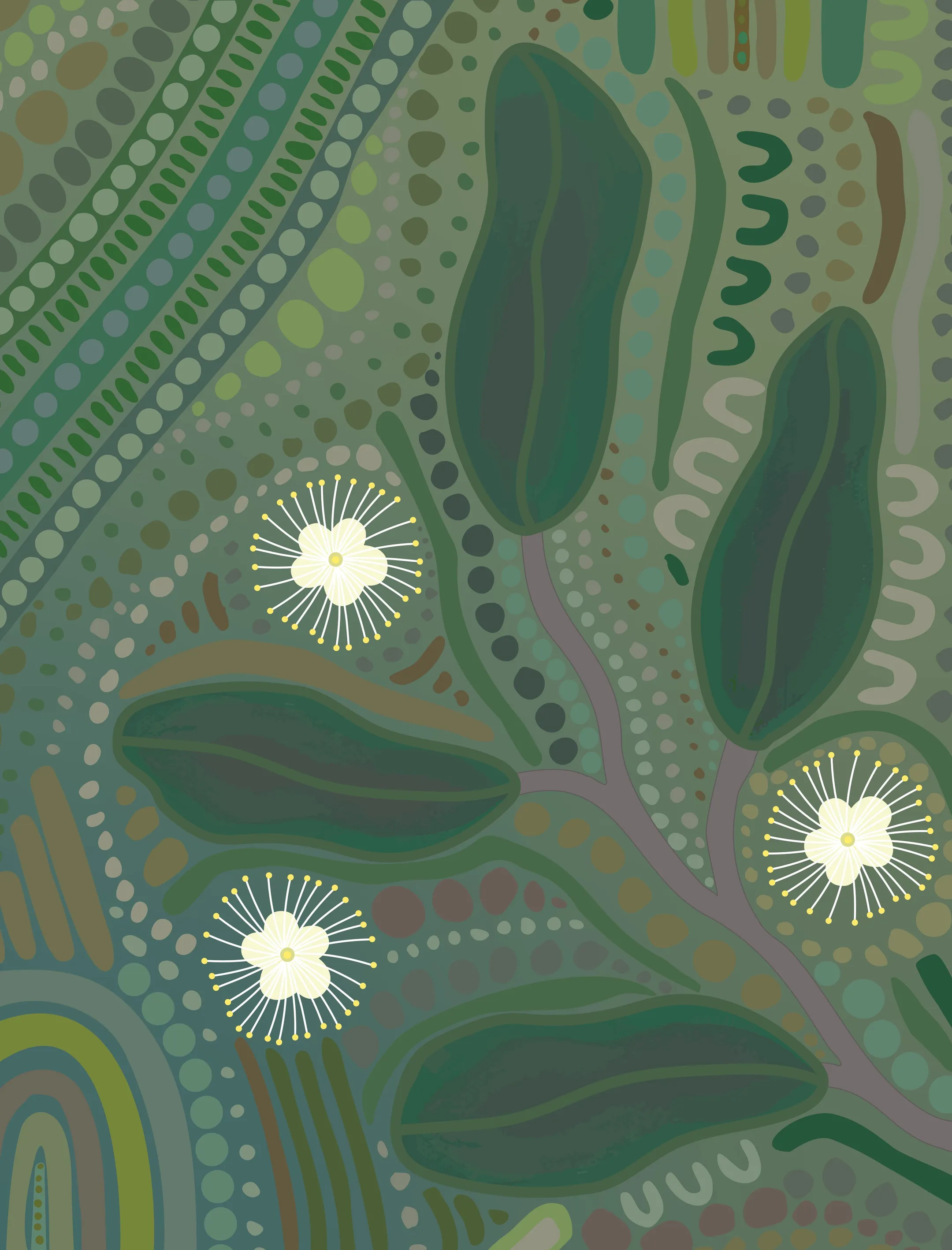 An image about Medicinal Plants