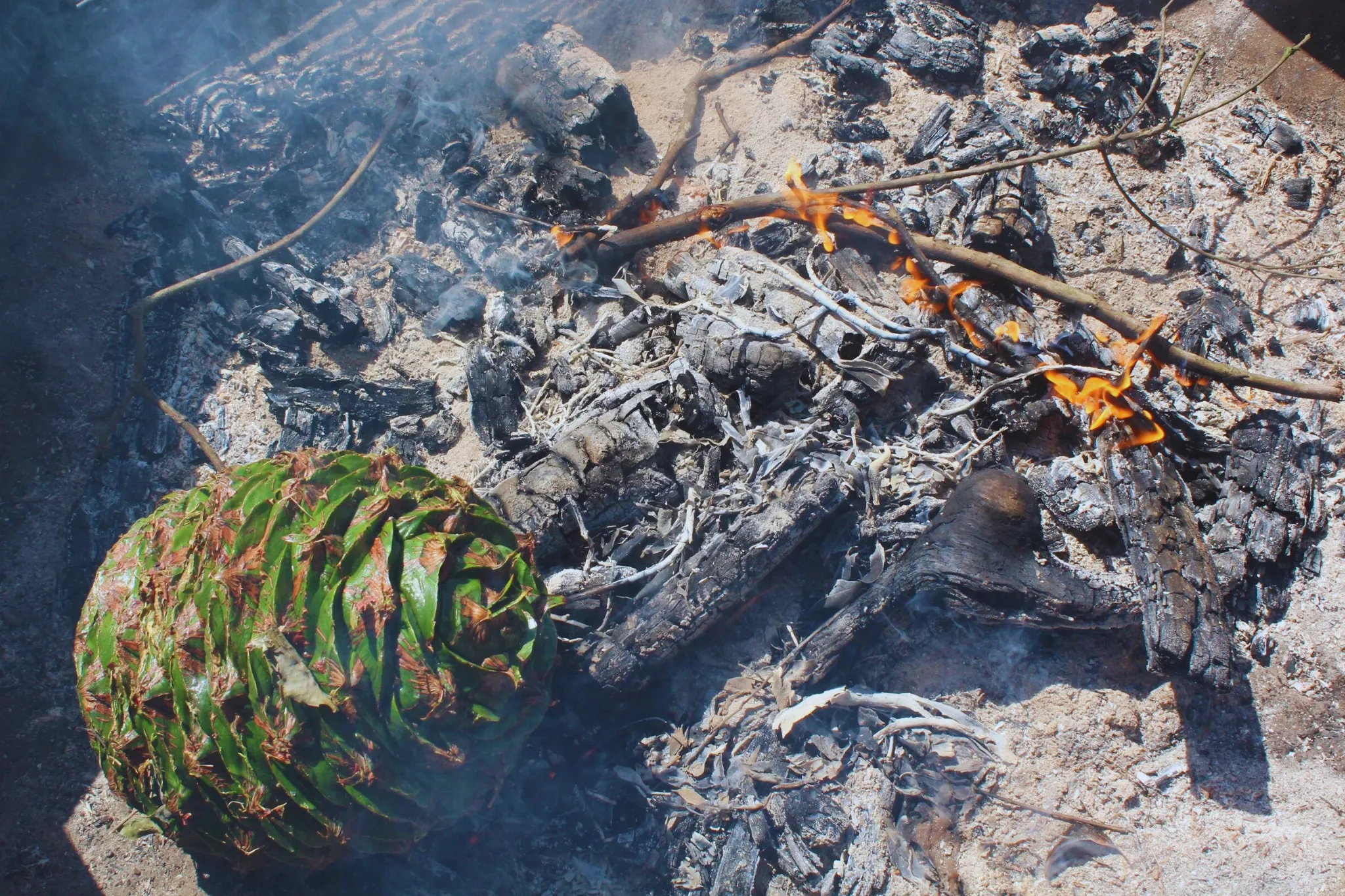 An image about Burnt Earth: Bonyi Bounty