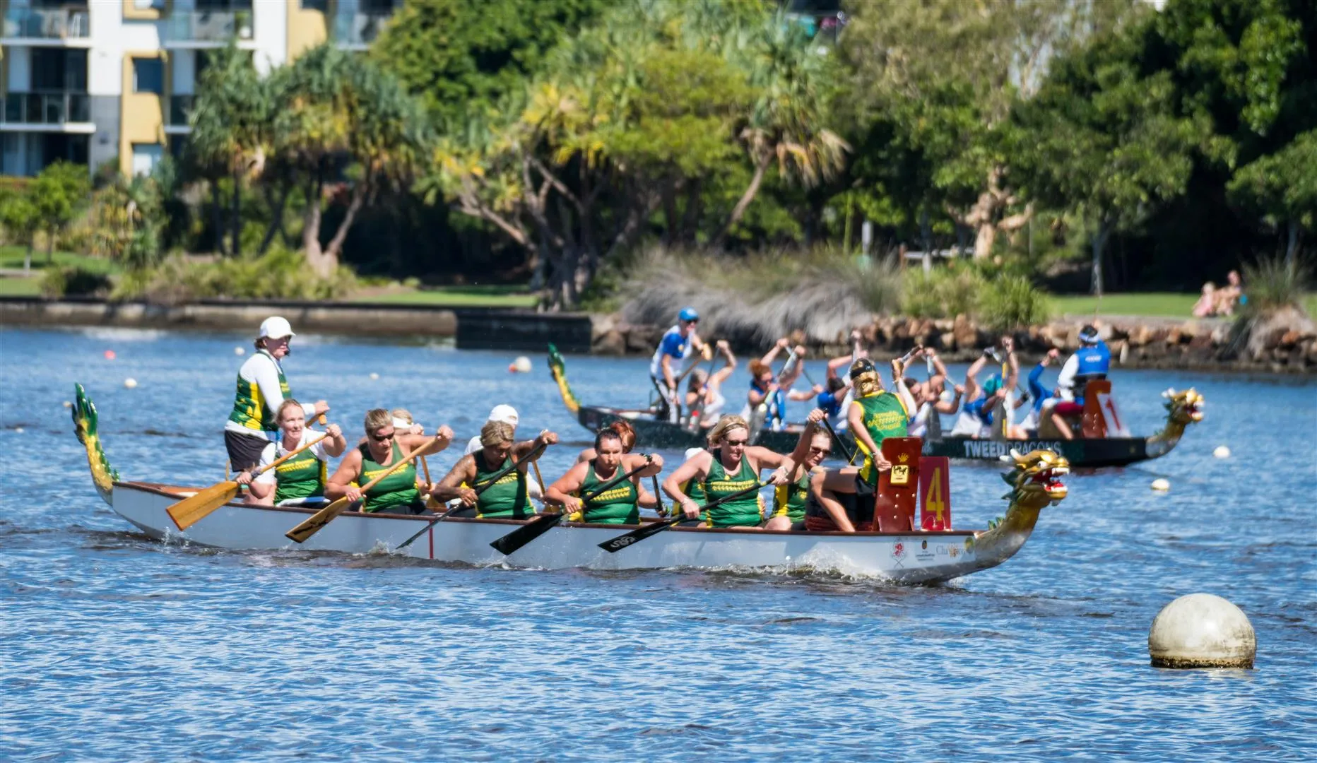 An image about Dragon Boat QLD State Championships