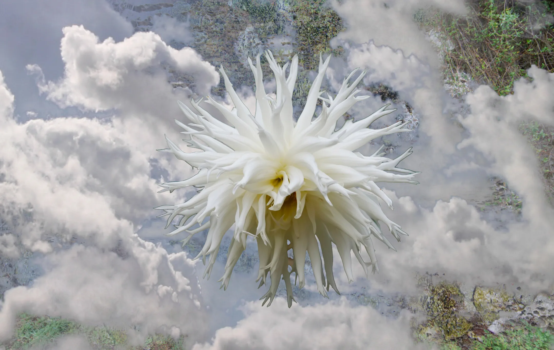 Dissolving World still image