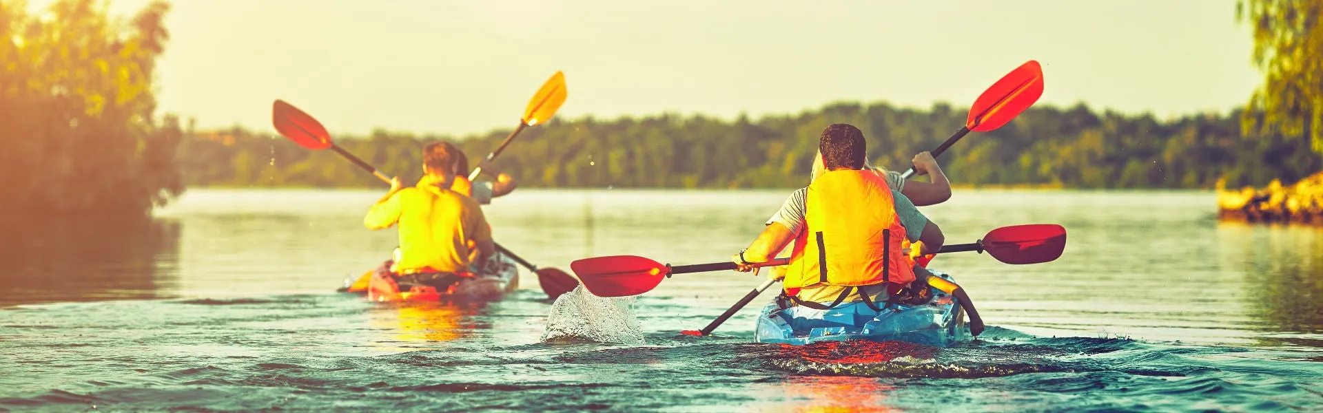 An image about Adventure Sunshine Coast