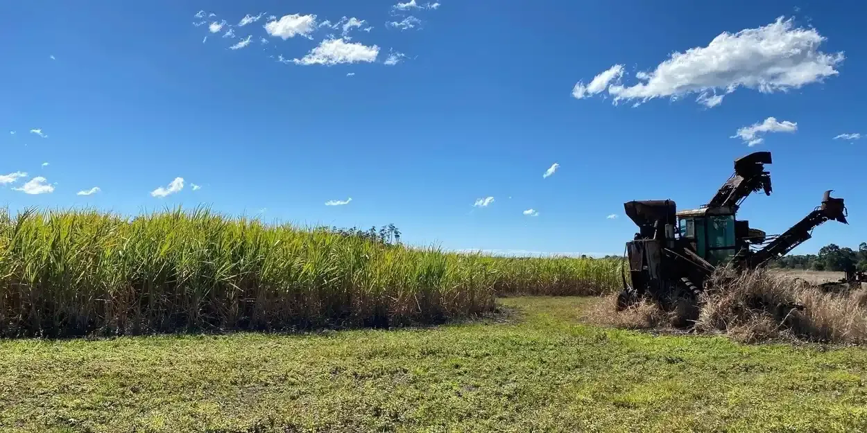 An image about On farm tour: Canefields Distillery