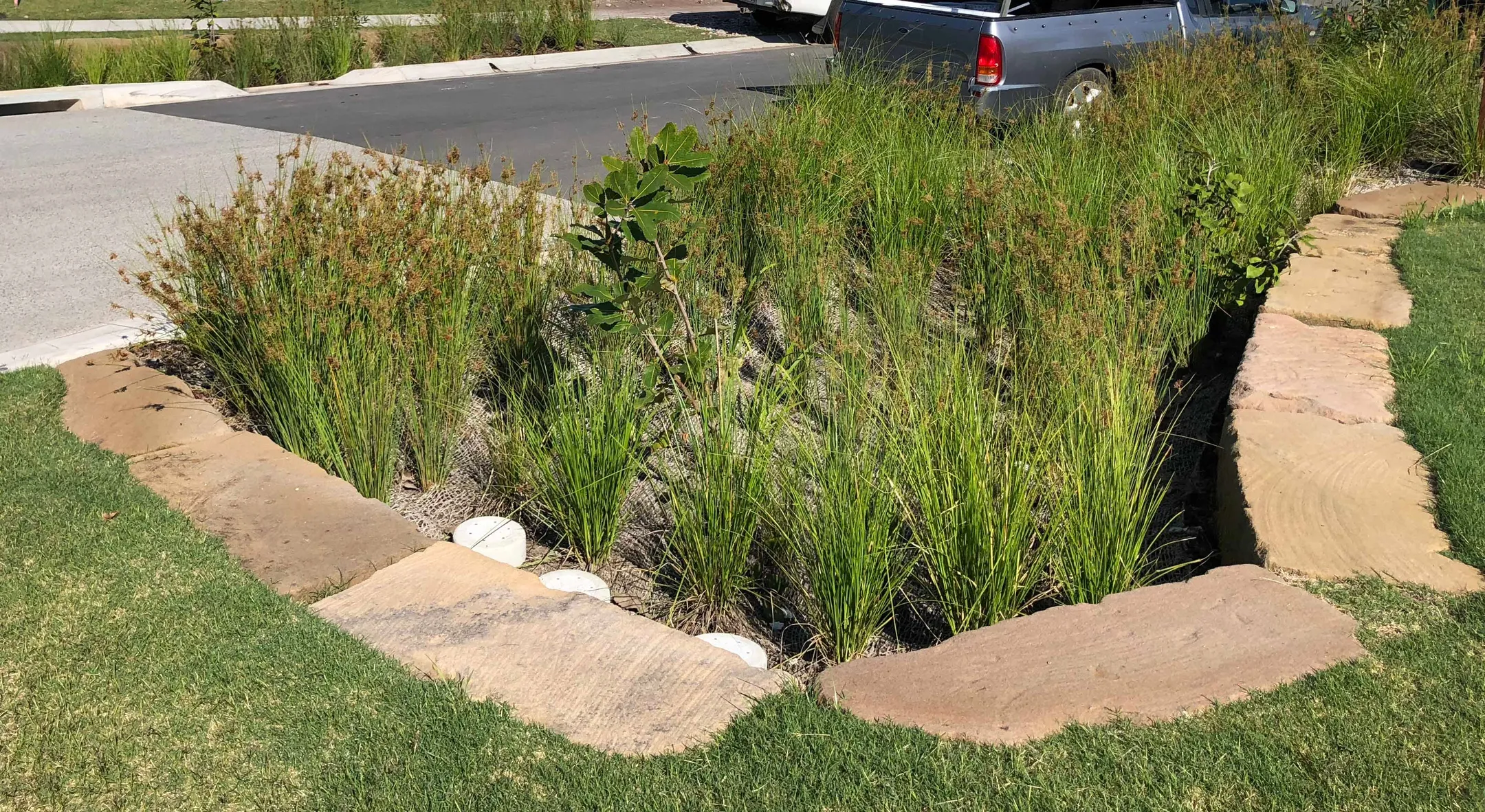 Example of a planted raingarden near the side of the road .