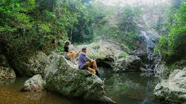 Visit Sunshine Coast Nature Image