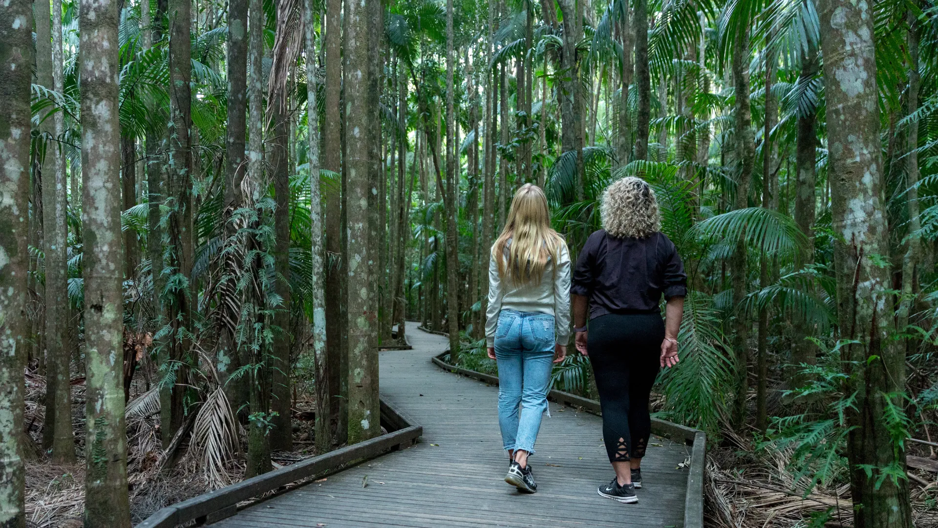 An image about Walking tracks