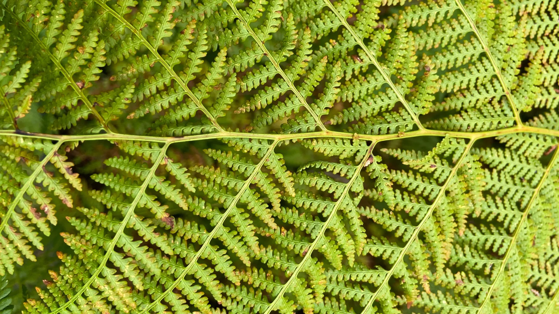 An image about undefined