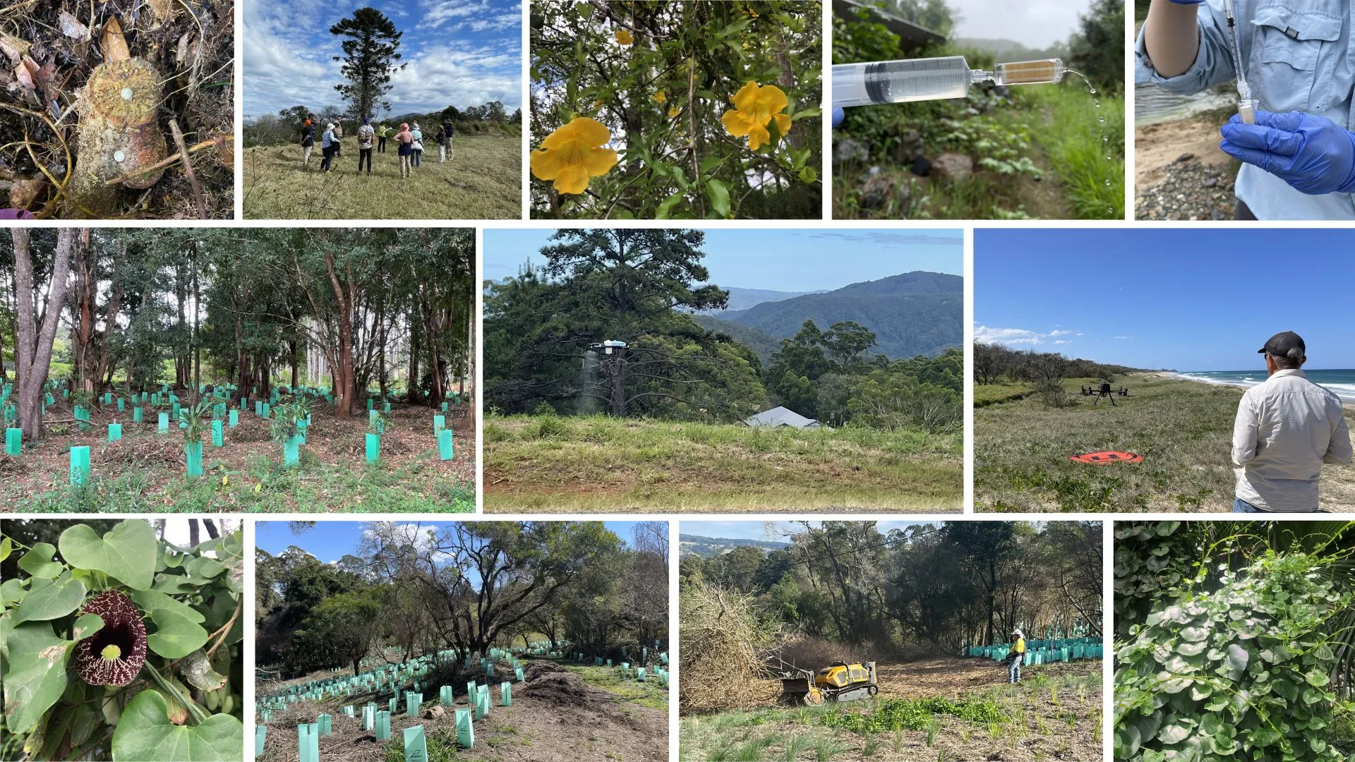 Collection of photos showcasing Invasive Weeds Project activities and sites