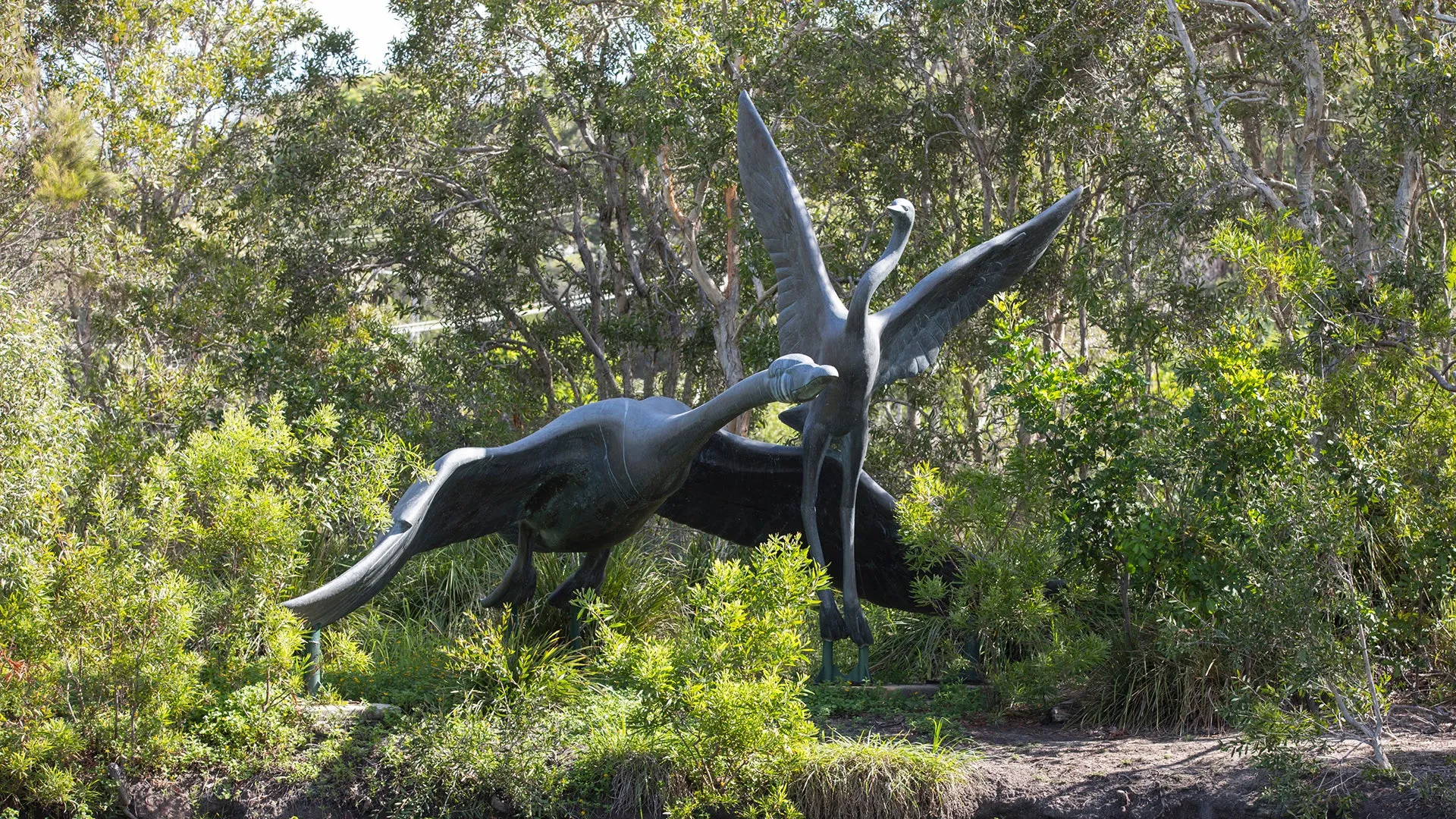 An image about Public Notices