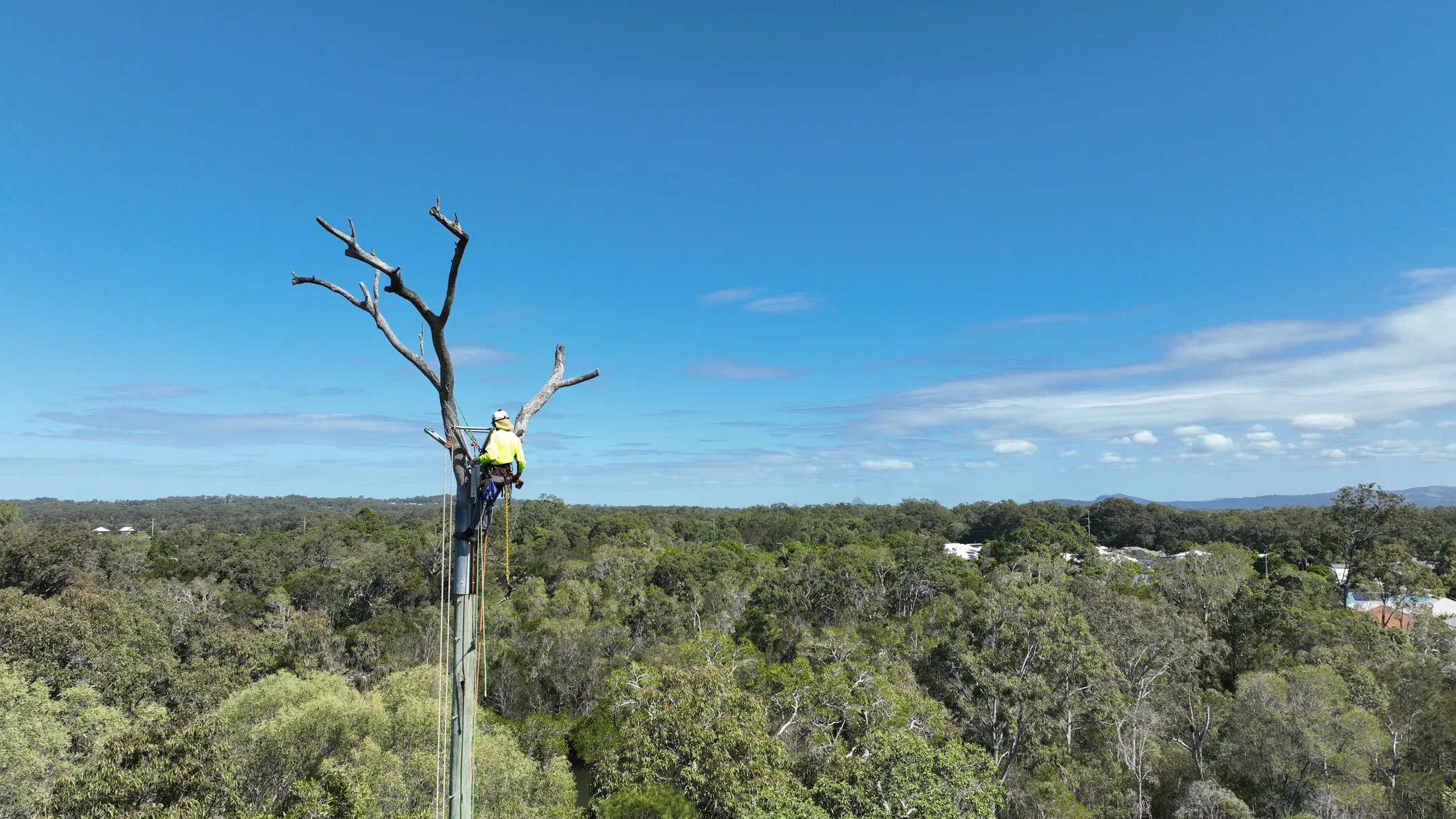 Renovation%20rescue%20-%20a%20new%20home%20for%20Sunshine%20Coast%20osprey%20pair%20%281%29%20credit%20Fauna%20Crossings.jpg