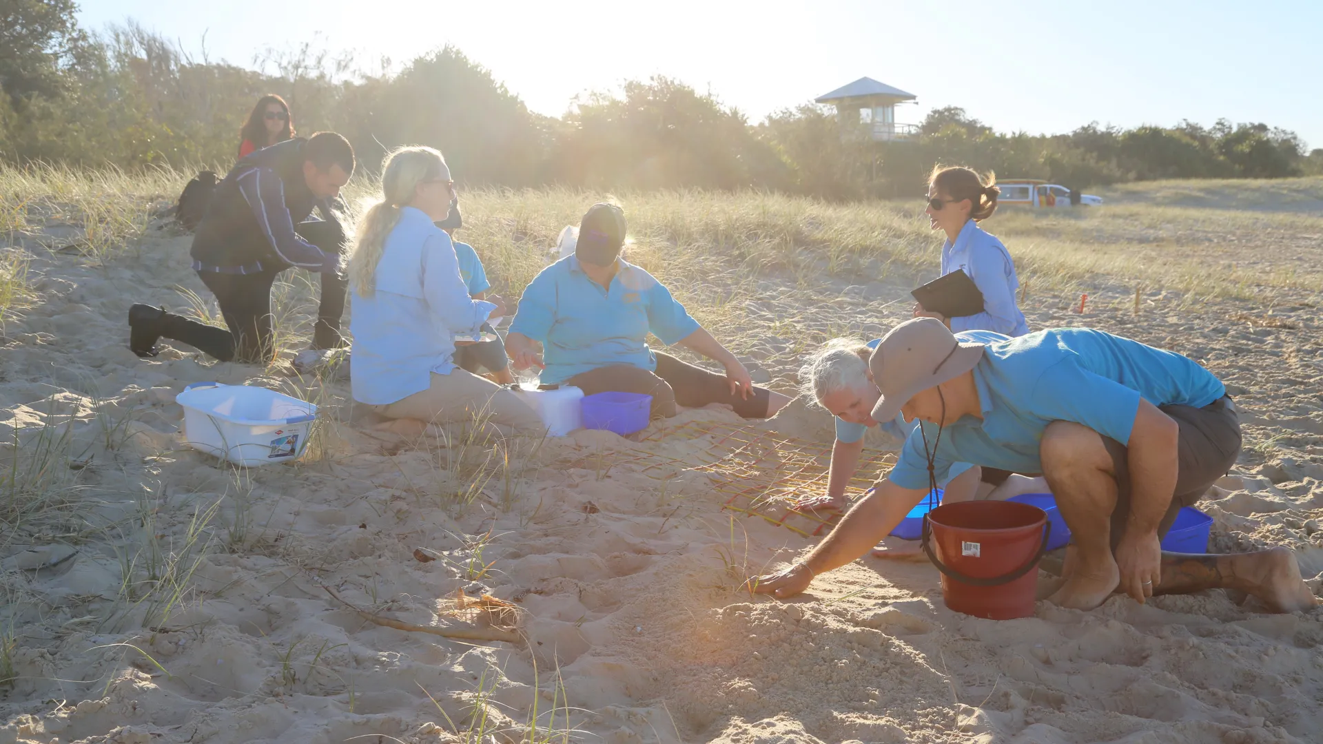 People playing in the sand