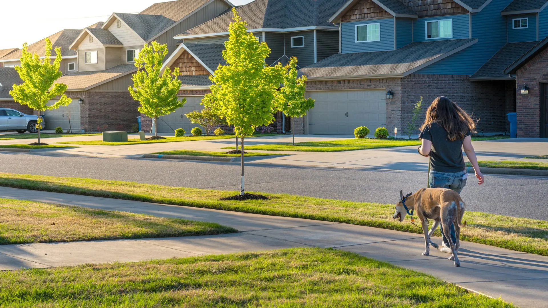 On a residential street, a lady is walking her dog on a leash along the footpath.