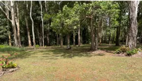 eumundi%202.png