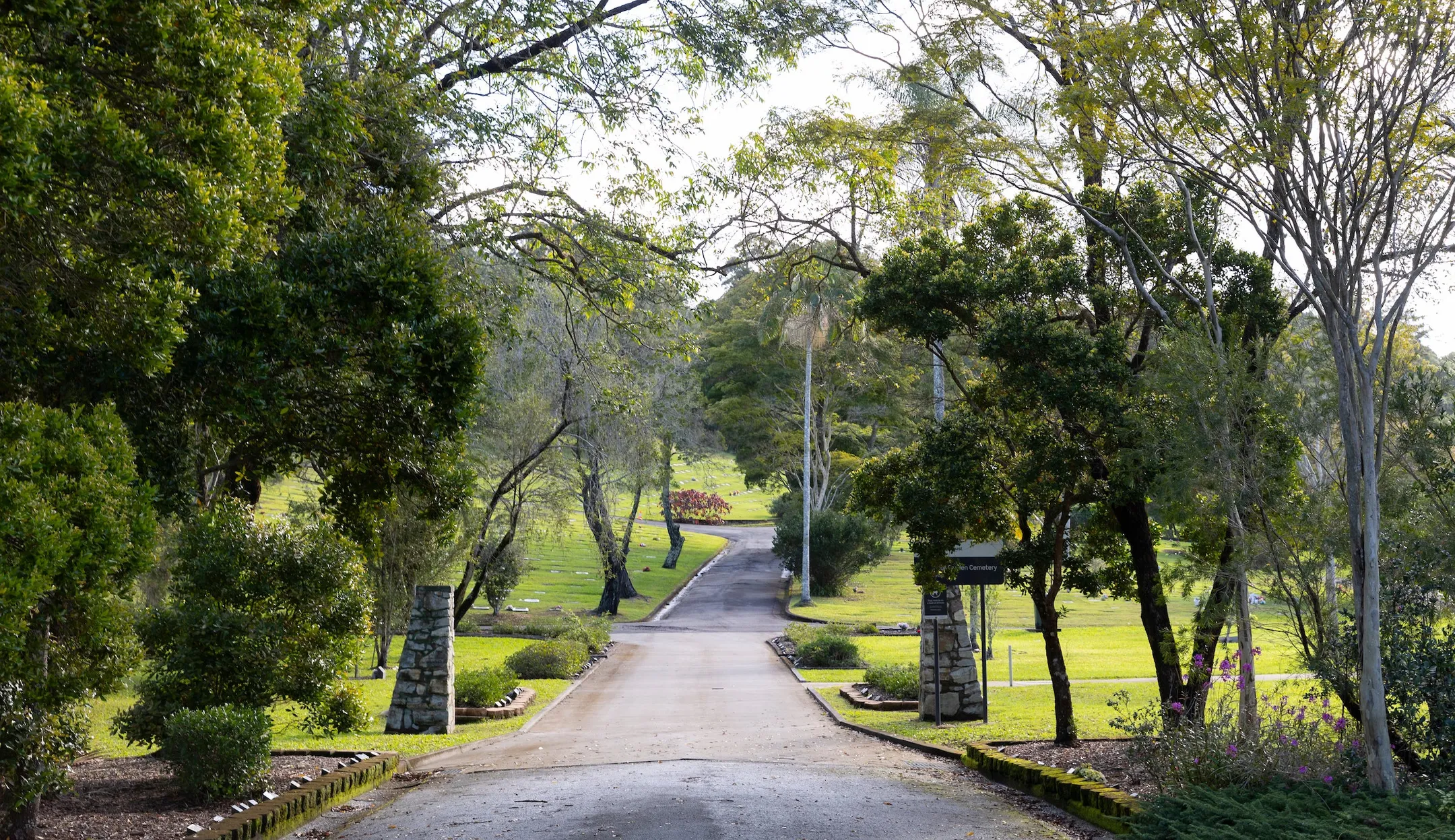 Bitumen driveway lined with gardens in the foreground, and grassy lawns and mature trees in the background