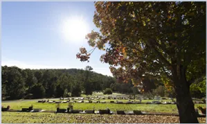 ashes%20into%20burial%20site.png