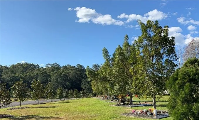 tree%20burial%20site.jpg