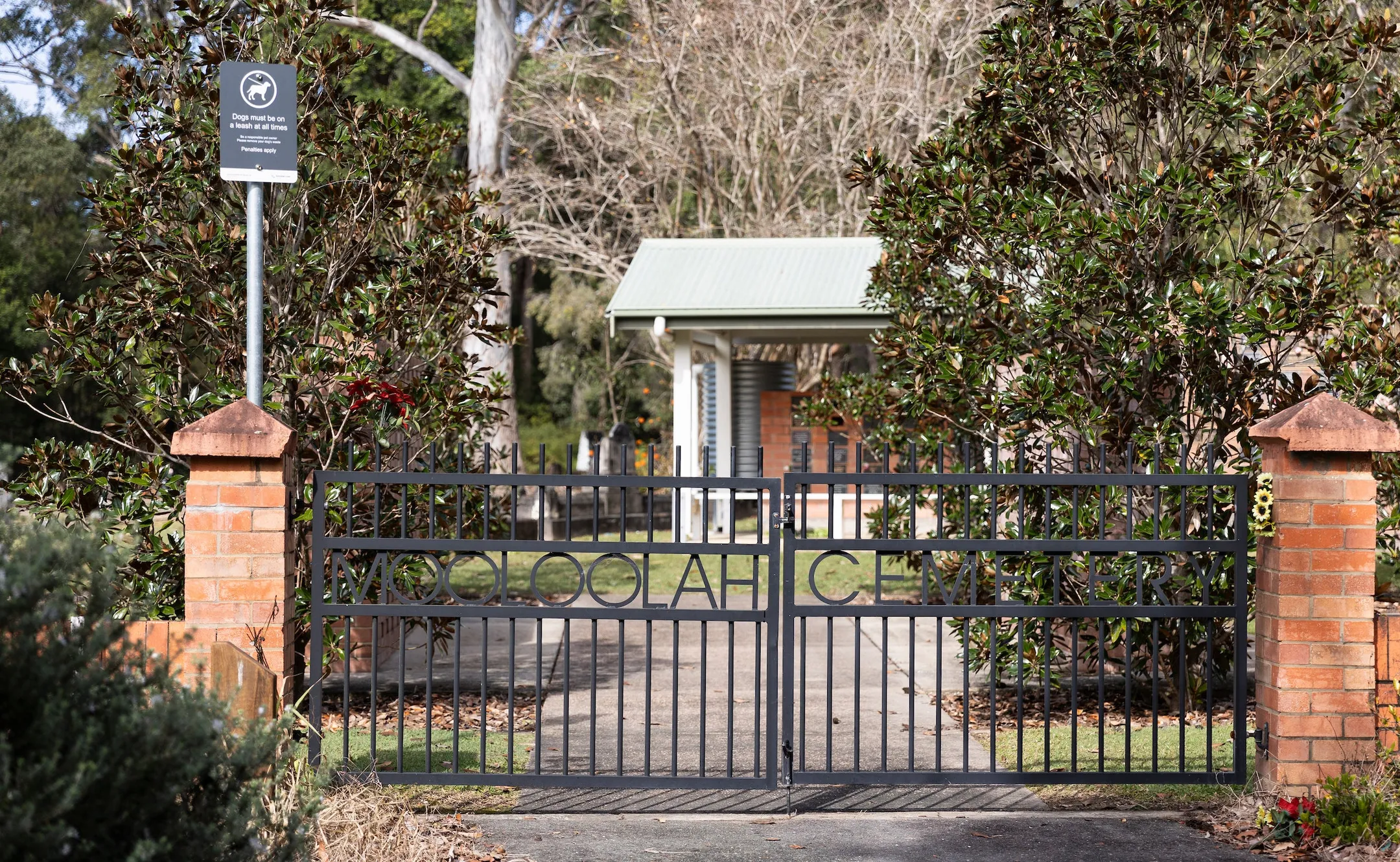 Closed entry gate with the words 'Mooloolah Cemetery' forming part of the metal gate, two brick pillars on either side and a footpath leading to a covered area beyond