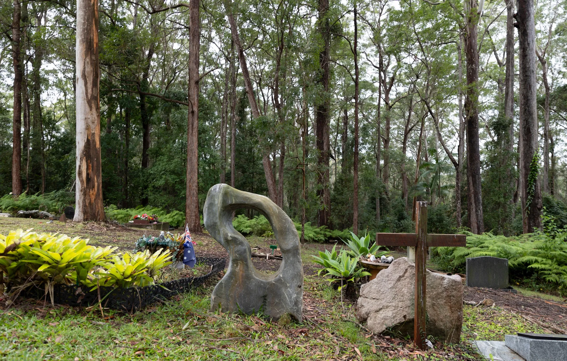 Burial section in foreground and ferns and forest in the background