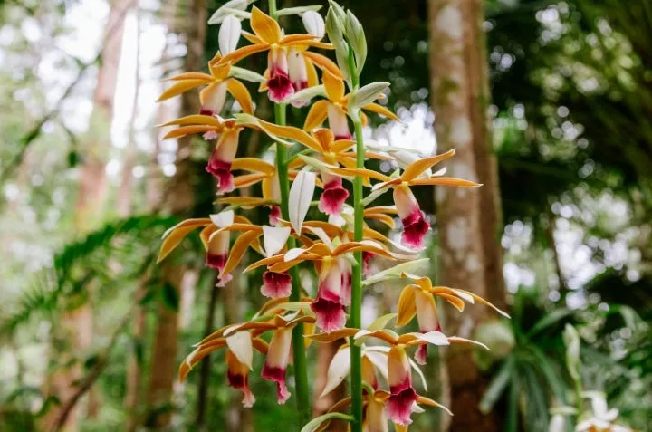 An image about Learn - Play - Relax