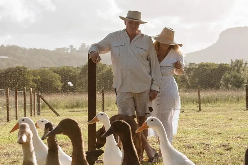 Two people leaning against a fence, looking at a number of ducks