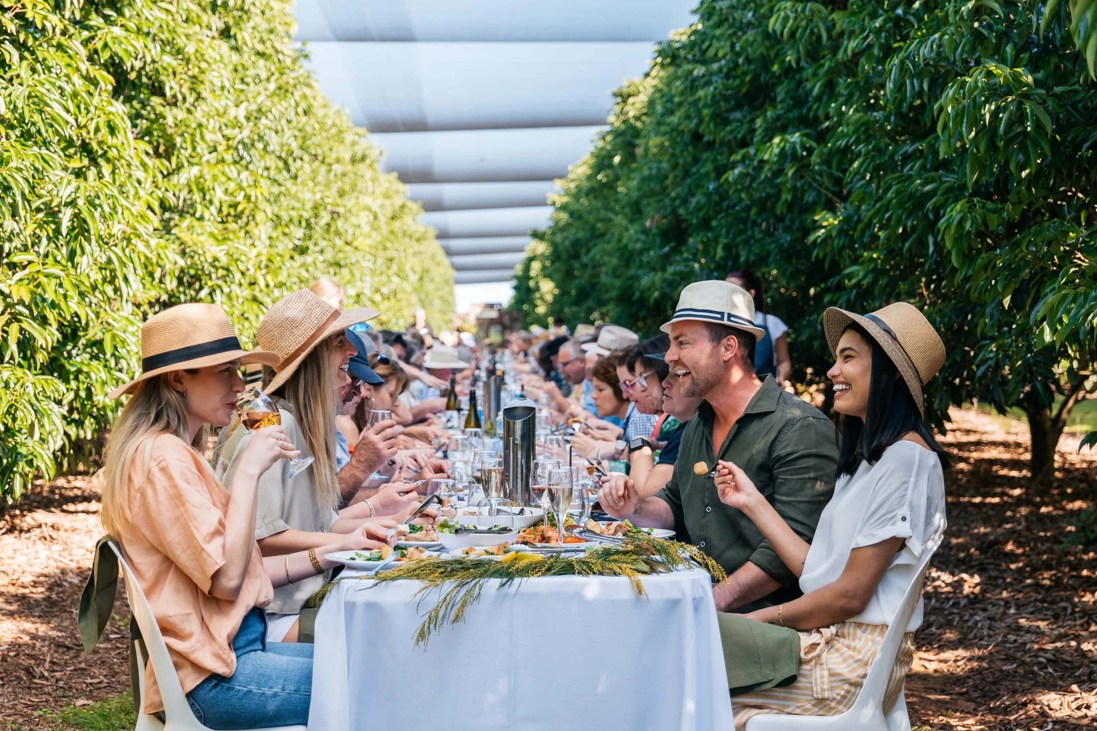 The Curated Plate long table lunch 2023