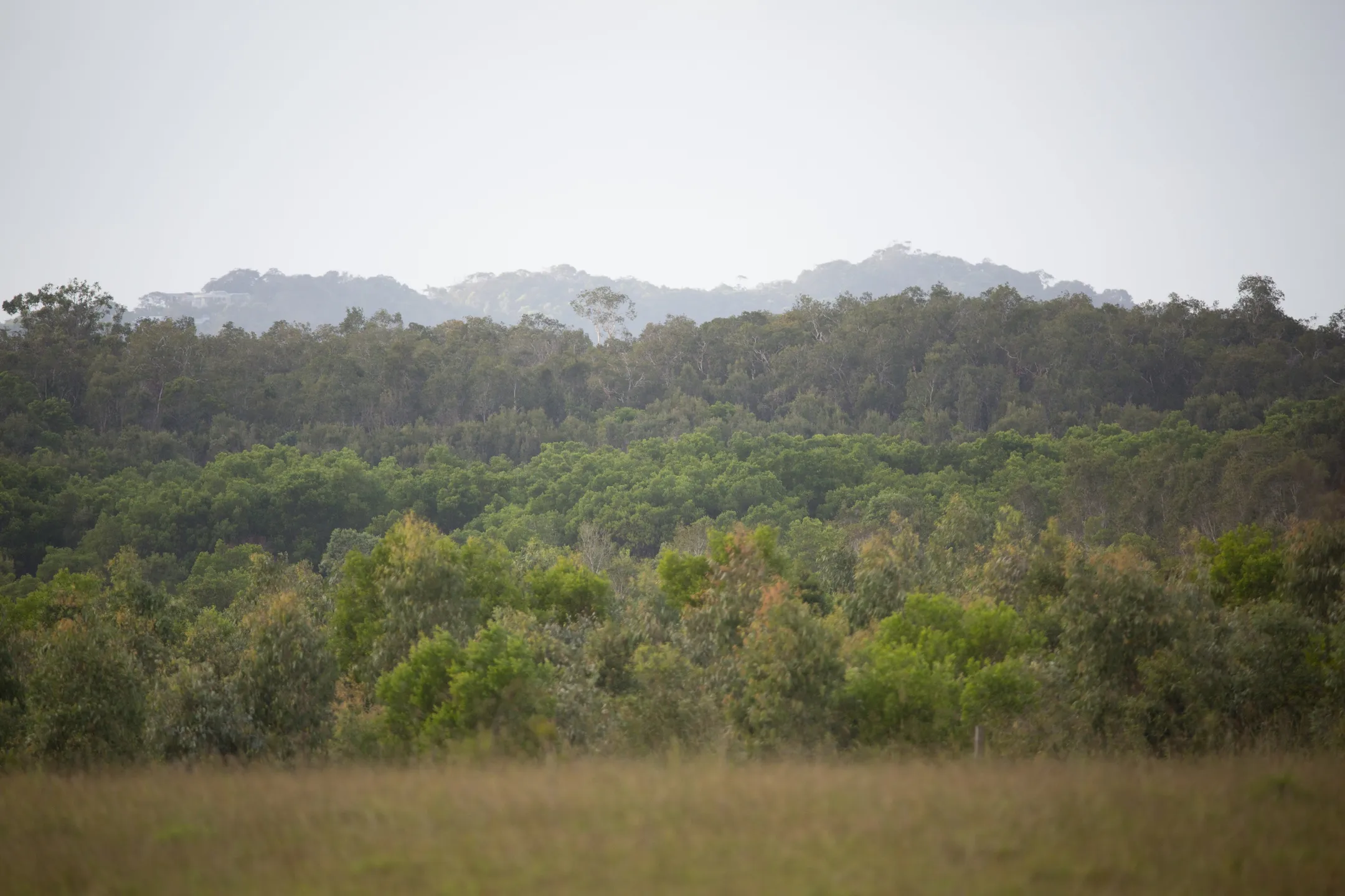 An image about undefined