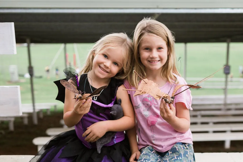 11th Annual Australasian Bat Night at Maleny Showgrounds on Saturday November 15, 2025