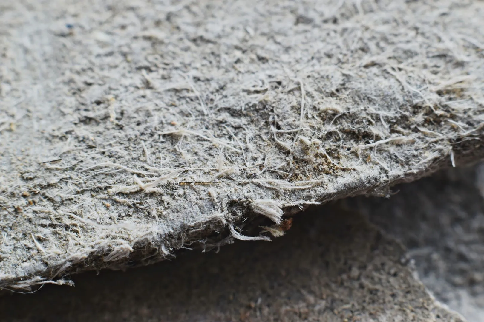 Magnified image of asbestos material