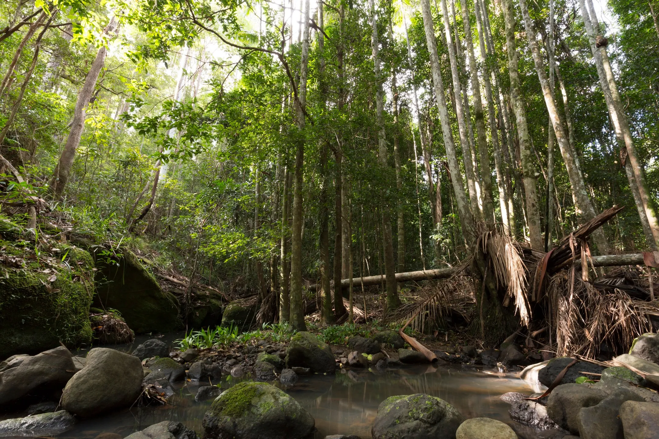 An image about Bushland protection