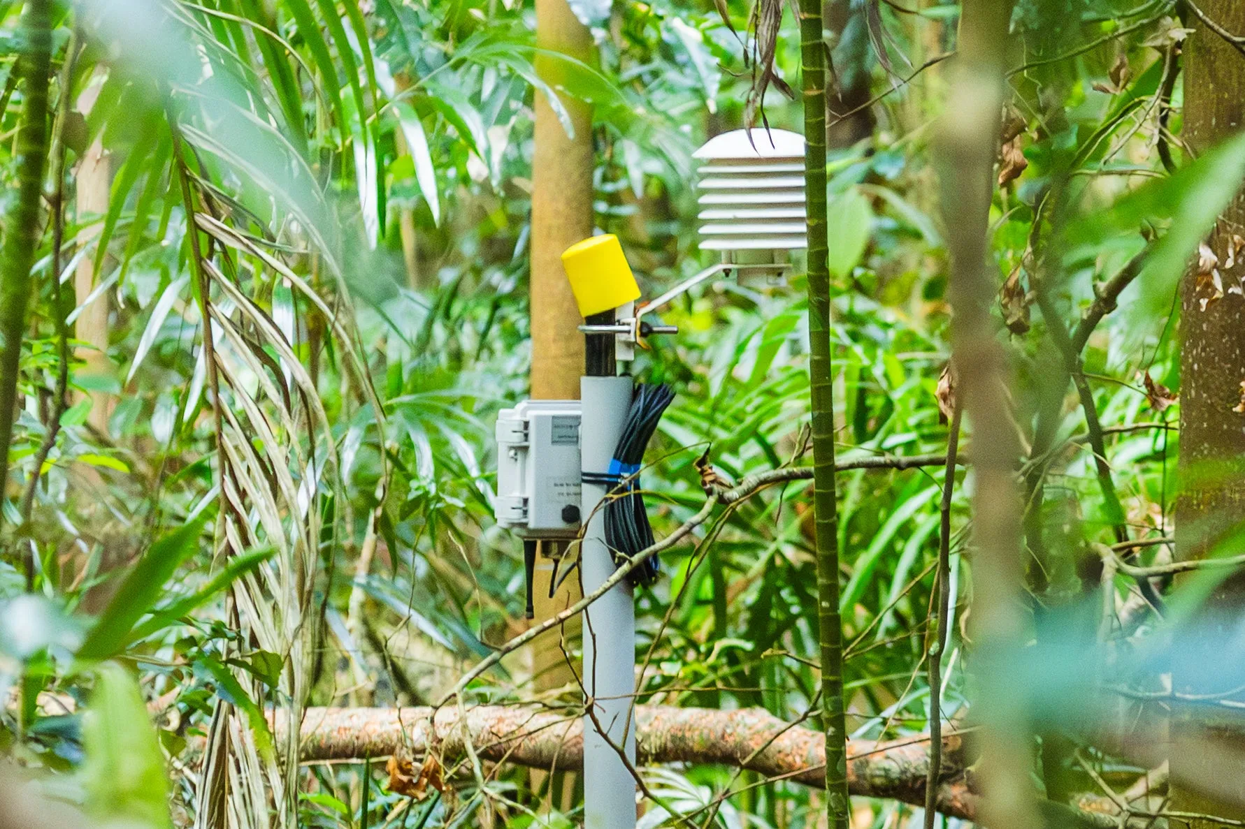 An image about undefined