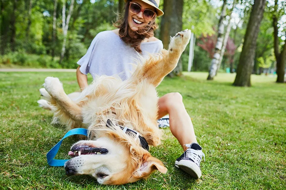Dog%20off%20leash_person%20with%20dog.jpg