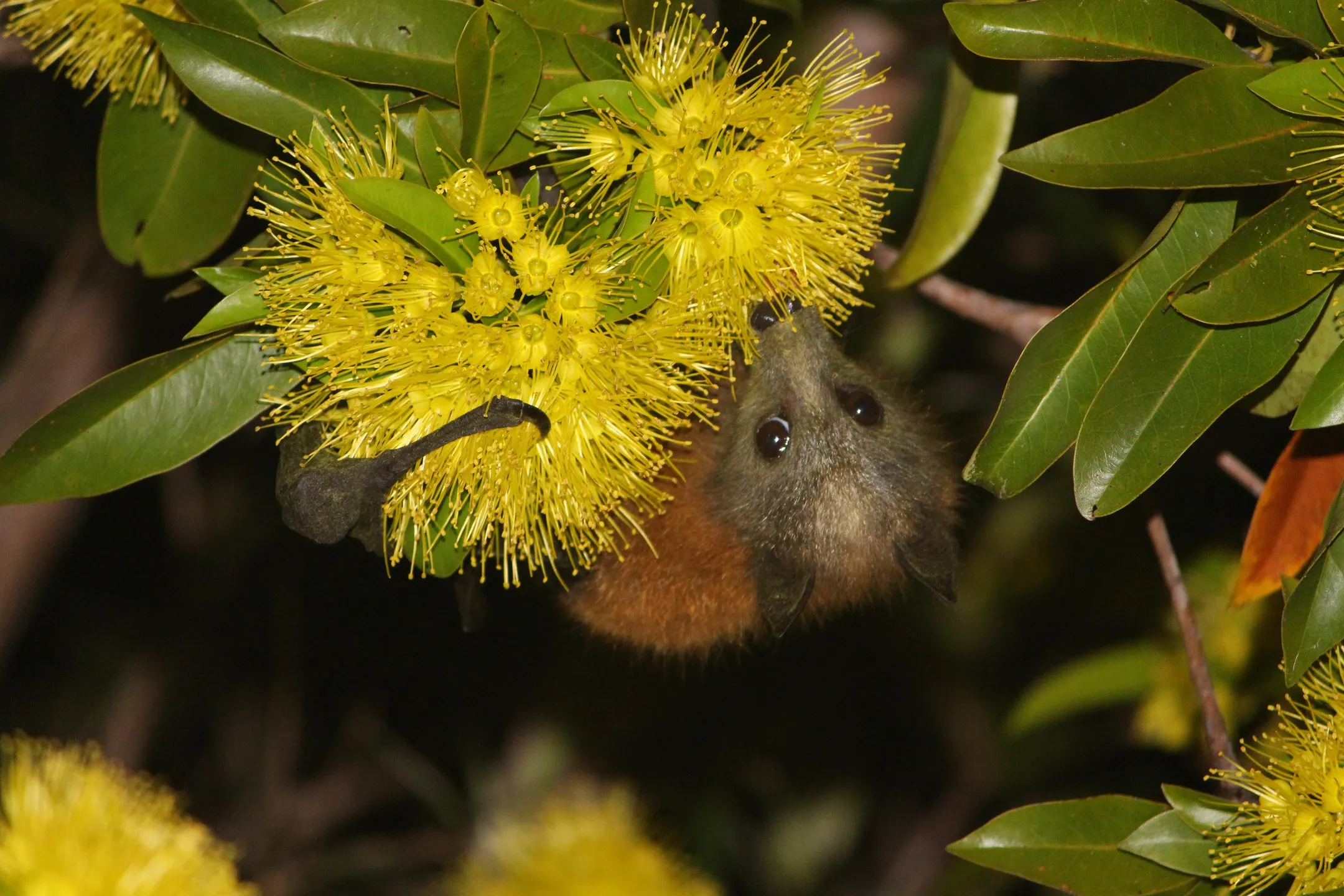 An image about undefined