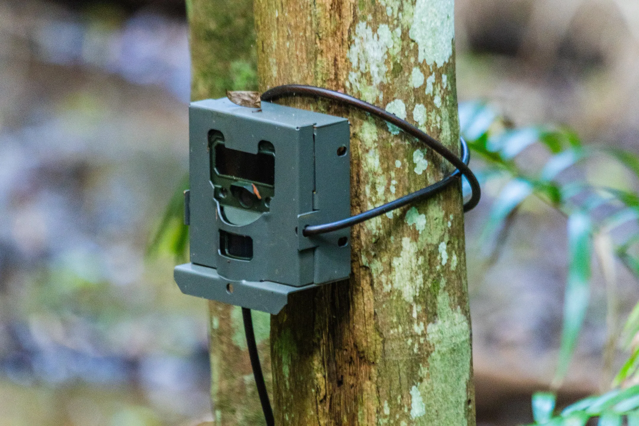 An image about undefined