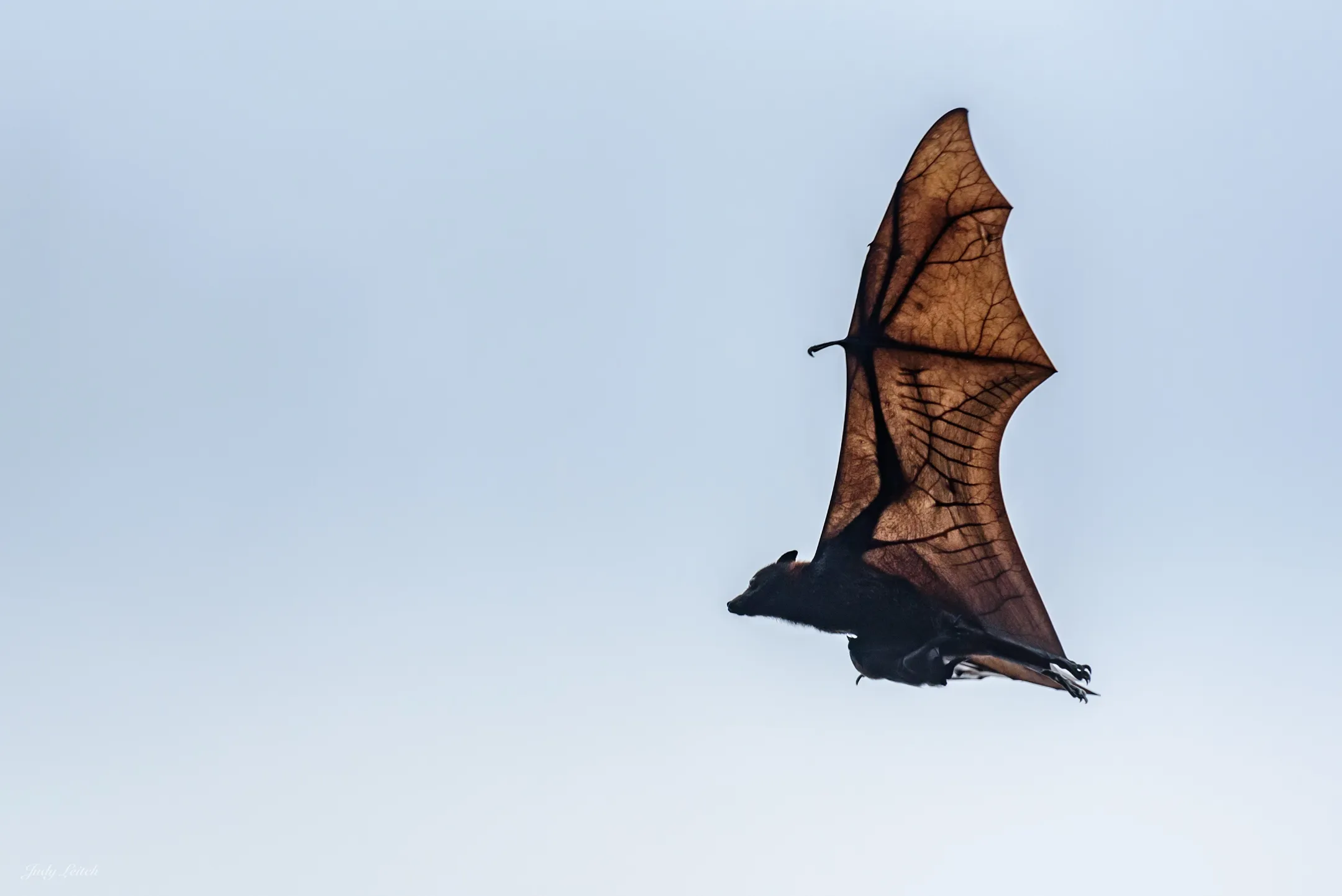 An image about undefined