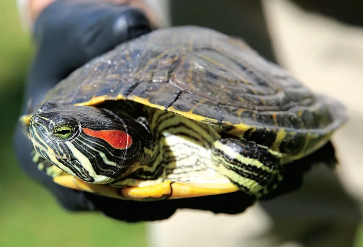 An image about undefined