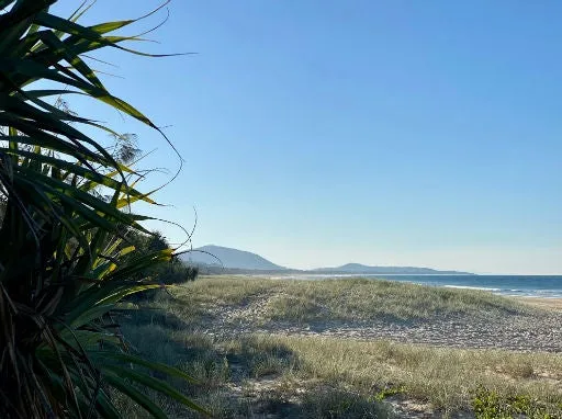 Mudjimba%20TH.jpg