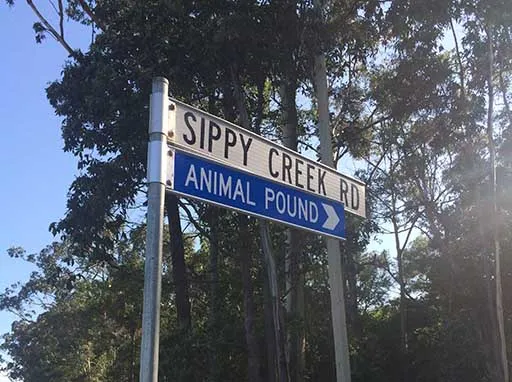 Animal pound street sign