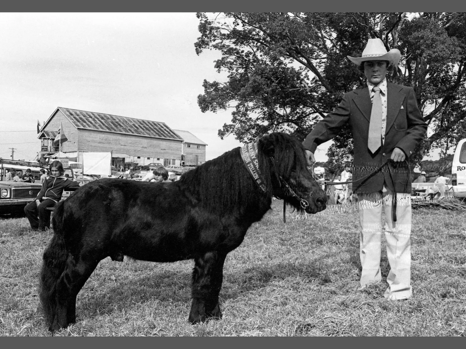 Winner of the 'Champion stallion or colt' section at the Maleny Show in May 1981.